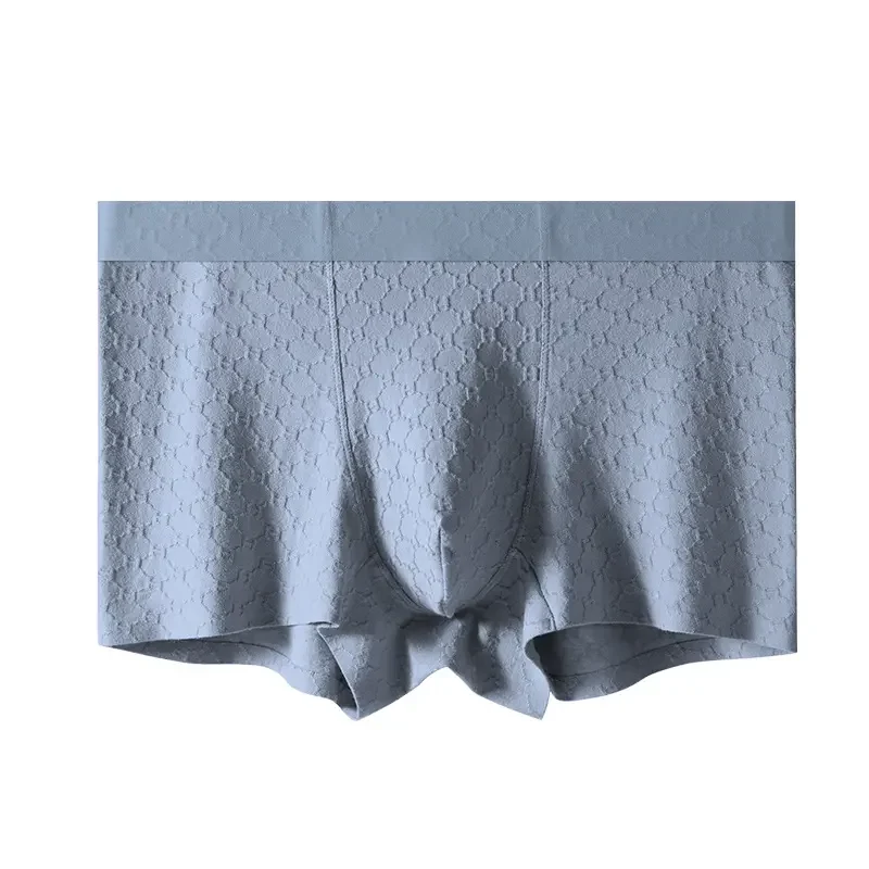 Boxer Briefs1 (1)