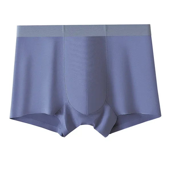 Boxer Briefs1 (1)