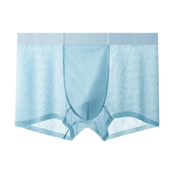 Boxer Briefs1 (1)