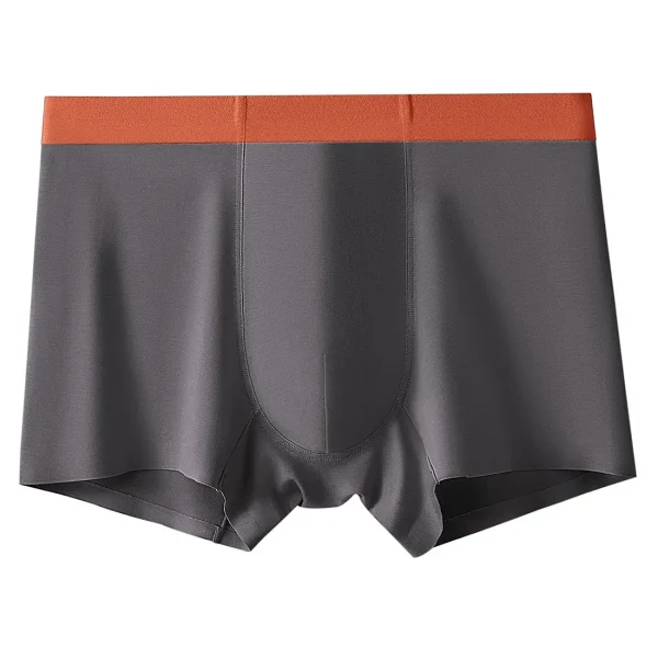 Boxer Briefs1 (1)