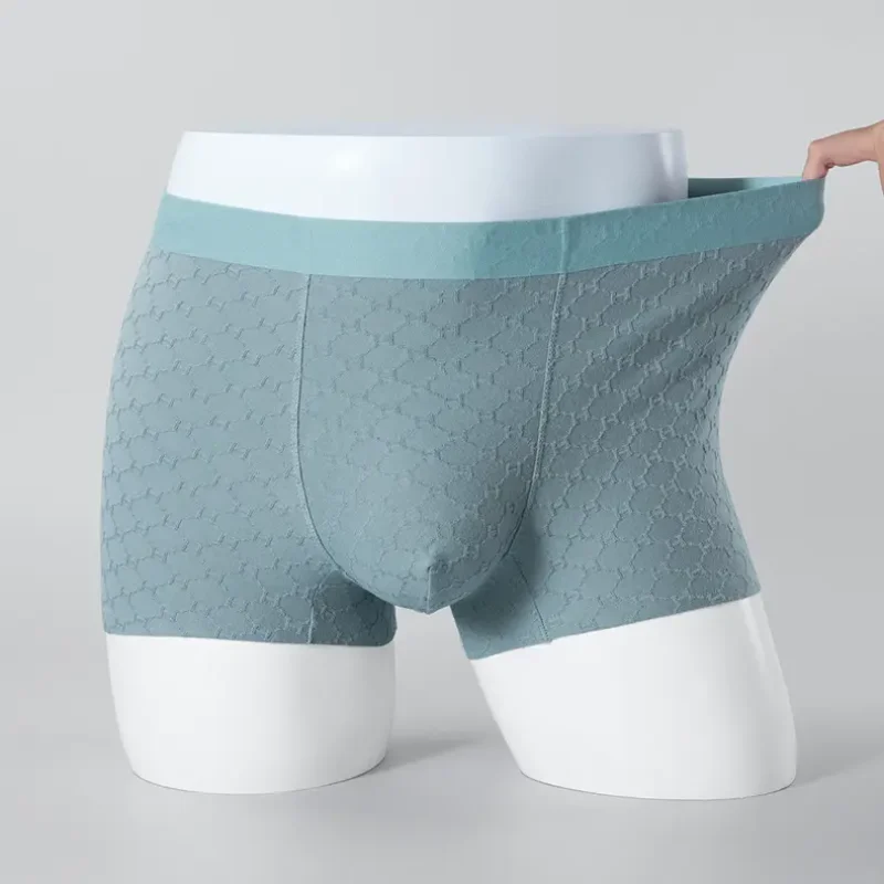 Boxer Briefs1 (2)